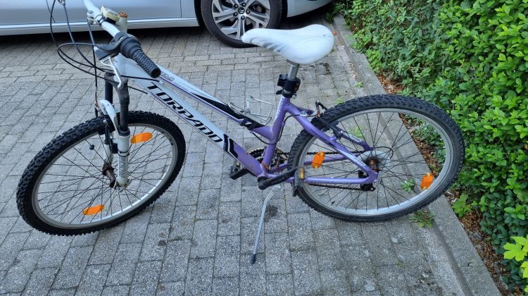 Dames Mountainbike
