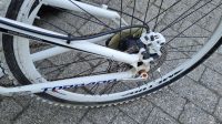 Heren Mountainbike