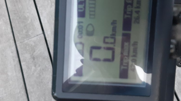 Speed pedelek FOCUS te koop wegens pijnlijke rug – nog met meer dan 1.5jaar garantie! ( gekocht 8 augustus)
