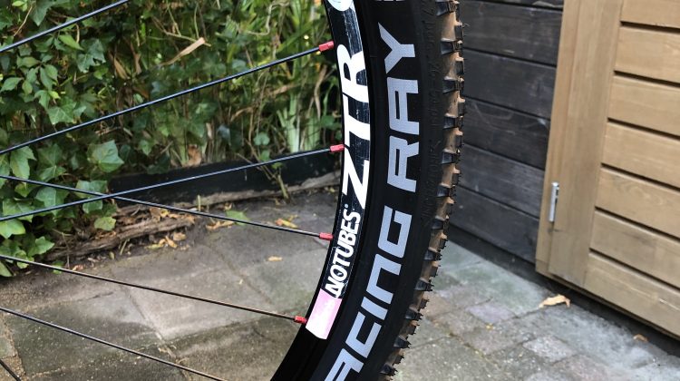 Scott Spark, Rotor, Thomson