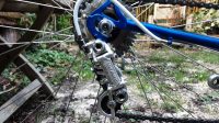 Pinerello Venetië 50cm Eroica ready