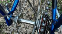 Pinerello Venetië 50cm Eroica ready
