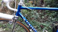 Pinerello Venetië 50cm Eroica ready