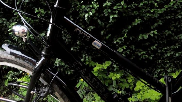 Gaastra Trekkings/stadsfiets