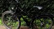 Gaastra Trekkings/stadsfiets