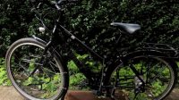 Gaastra Trekkings/stadsfiets