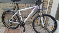 2x MOUNTAINBIKE TREK SAMEN 200,00 vaste prijs
