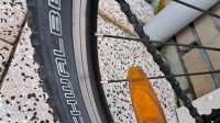 2x MOUNTAINBIKE TREK SAMEN 200,00 vaste prijs