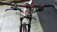 SPECIALIZED S -WORKS 29