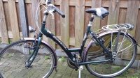 Gazelle Lausanne frame 52 track and trail