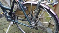 Gazelle Lausanne frame 52 track and trail