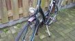 Gazelle Lausanne frame 52 track and trail