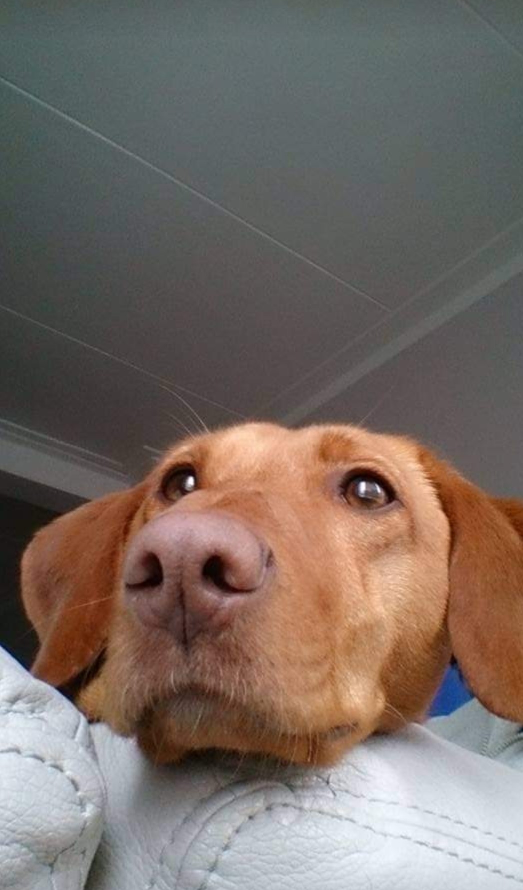Profielfoto