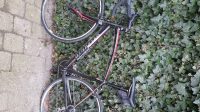 racefiets specialized
