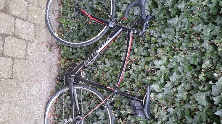 racefiets specialized