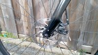 Trek domane al 2 disc 56 cm