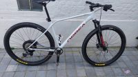 Orbea Alma H30 – L