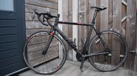 Sensa Romagna framemaat 55