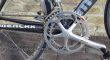 Merckx dames koersfiers