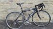 Merckx dames koersfiers