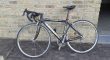 Merckx dames koersfiers