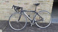 Merckx dames koersfiers