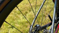 Giant TCR Advanced 1 Disc (2019) – Maat M
