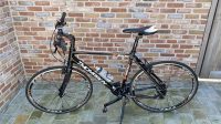 HEREN SPORTFIETS THOMPSON