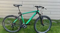 Thompson fusion mountainbike