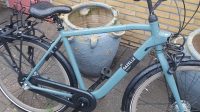 gazelle esprit bike