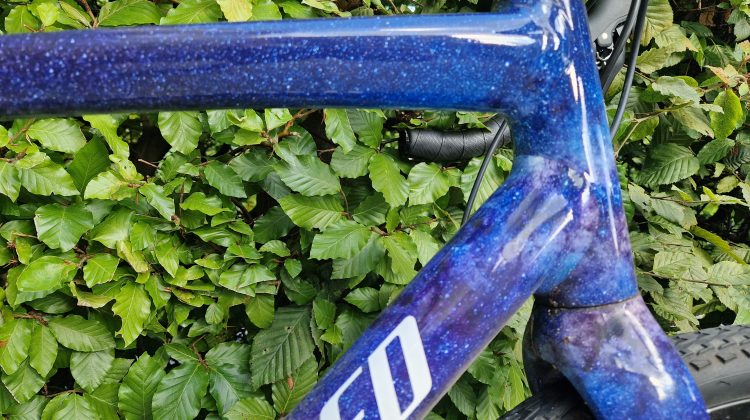 Specialized diverge dames gravelbike