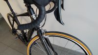 Dames Racefiets Zannata