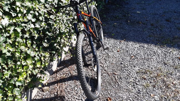 Mountainbike Wilier 101X