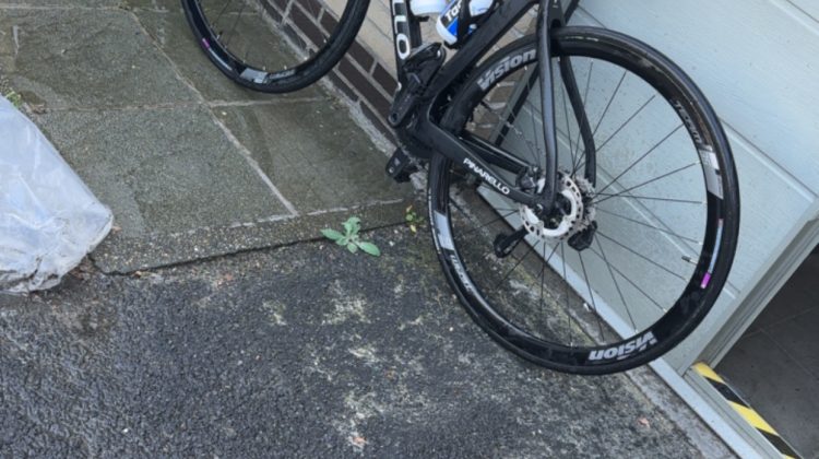 Pinarello prince 2023