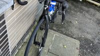 Pinarello prince 2023
