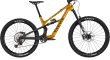 2024 Canyon Spectral CF 8 CLLCTV Mountain Bike (ALANBIKESHOP)